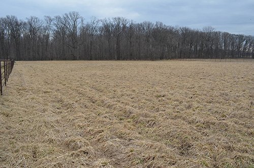 Property photo 14 - REAL ESTATE & FARM EQUIPMENT AUCTION IN ALLEN COUNTY, INDIANA